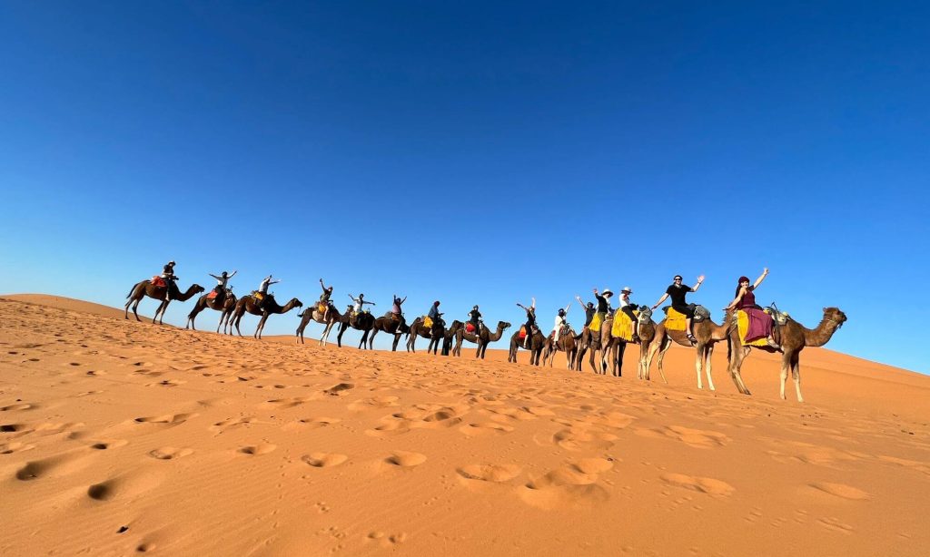 Nomadic Network tour participants on camels in Morocco